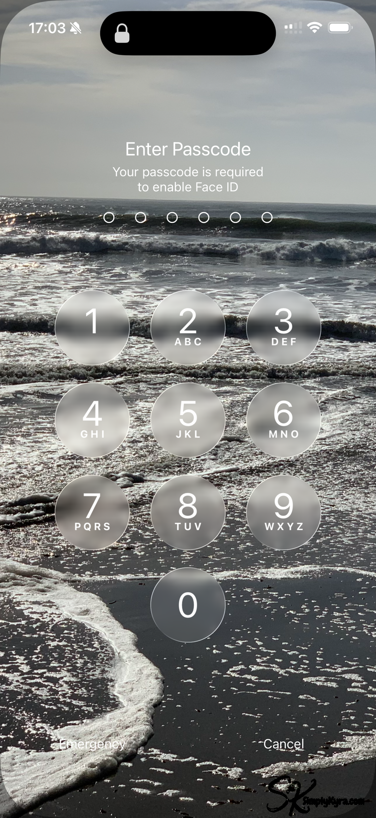 Image shows my lock screen with the digits open saying "Your passcode is required to enable Face ID"