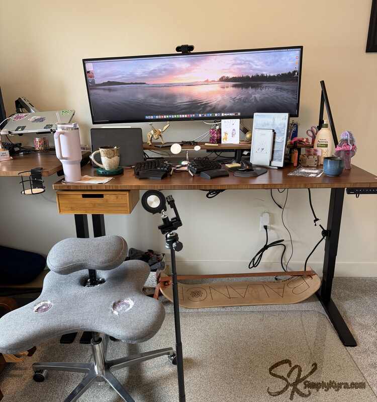 Rocky on a slightly messy desk. 