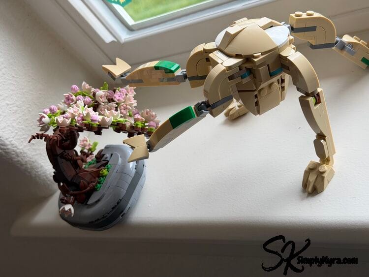 Rocky pruning my off brand mini bonsai.