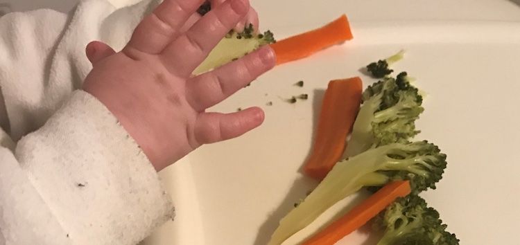 Baby Led Weaning - Introduction (6 and 7 Months)