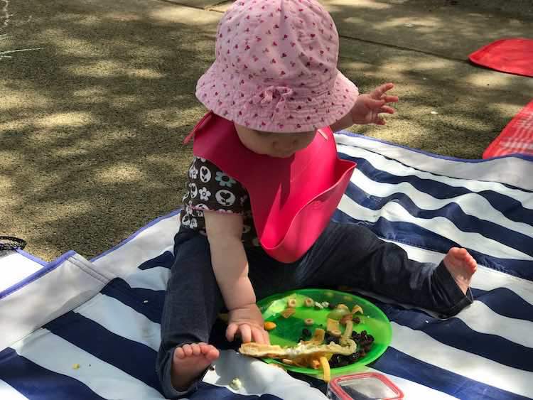 Picnic Essentials with Toddlers