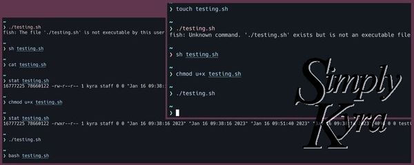 How to Run a Bash Script From Anywhere on Your Apple Computer
