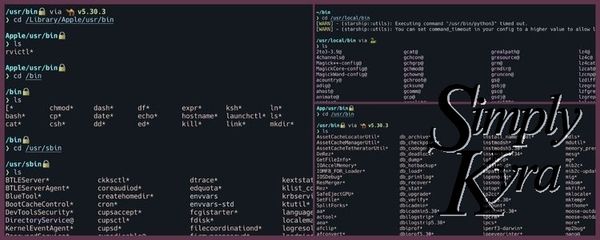 How to Run a Bash Script From Anywhere on Your Apple Computer image.