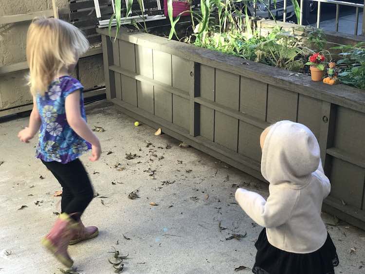 Ada and Zoey facing towards the dancing flower and scarecrow as they dance.