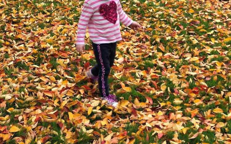 Impromptu walks are always fun. Ada especially enjoys crunching through the leaves on the grass instead of staying on the sidewalk. Depending on where you live you could also add a game to walk and follow the leader's steps through the snow.