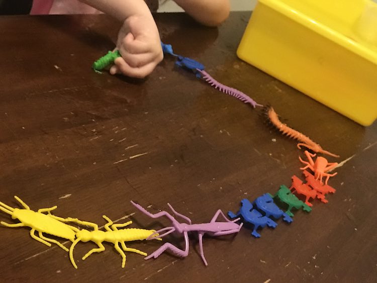 All the play insects lined up by type.
