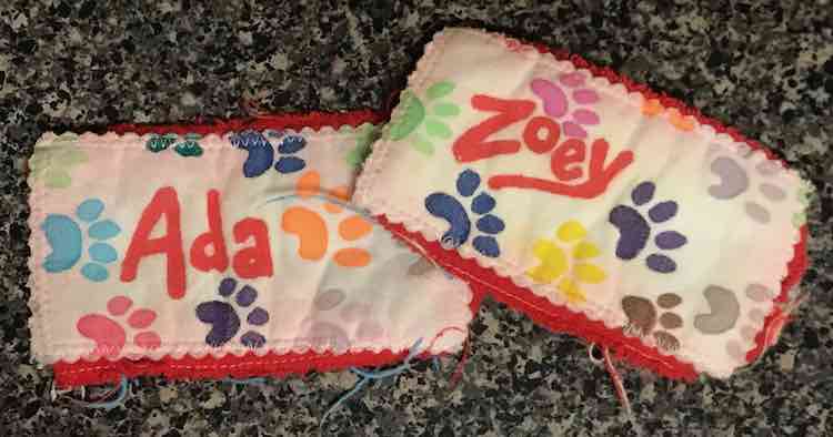 Ada and Zoey's freezie holders 
