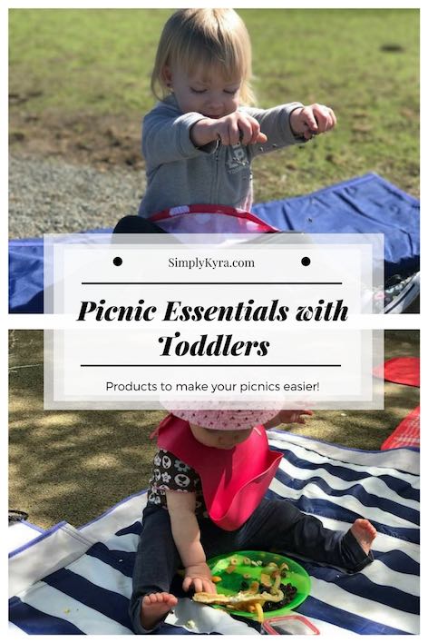 Picnic Essentials with Toddlers