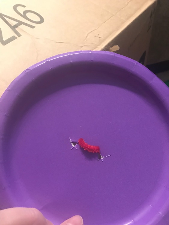 Brought the pipe cleaner through the holes on the plate making sure one end was longer than the other.