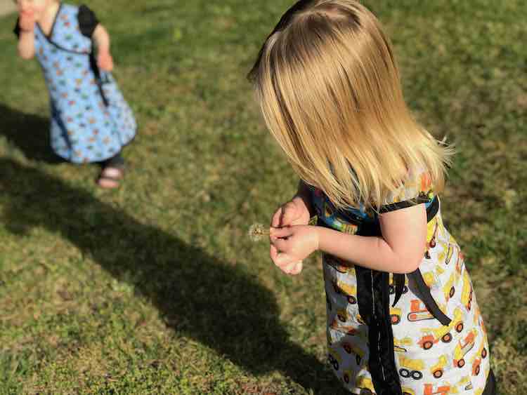 Dandelion hunting.