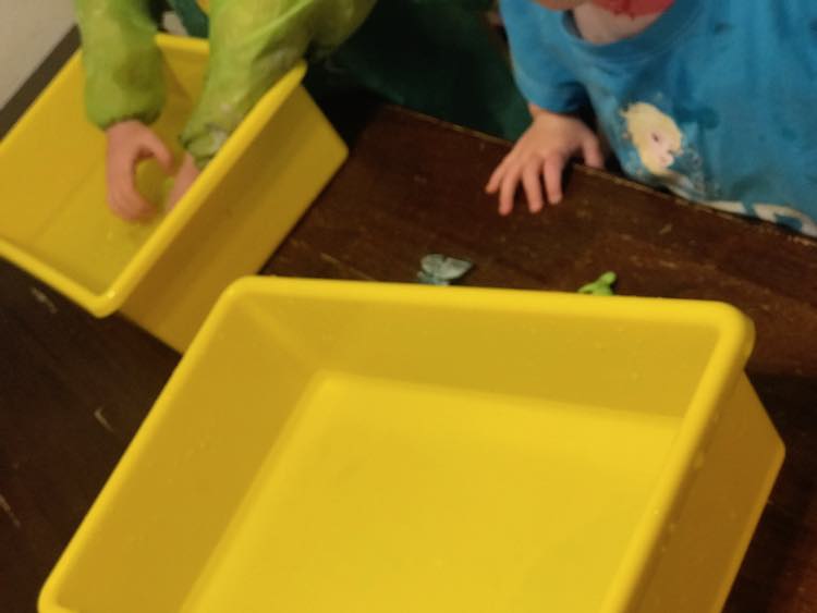 First I gave them their individual sensory bins.