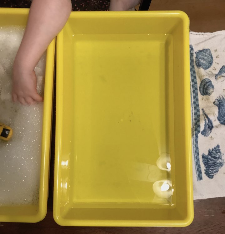 A bin of clean water to rinse them off.