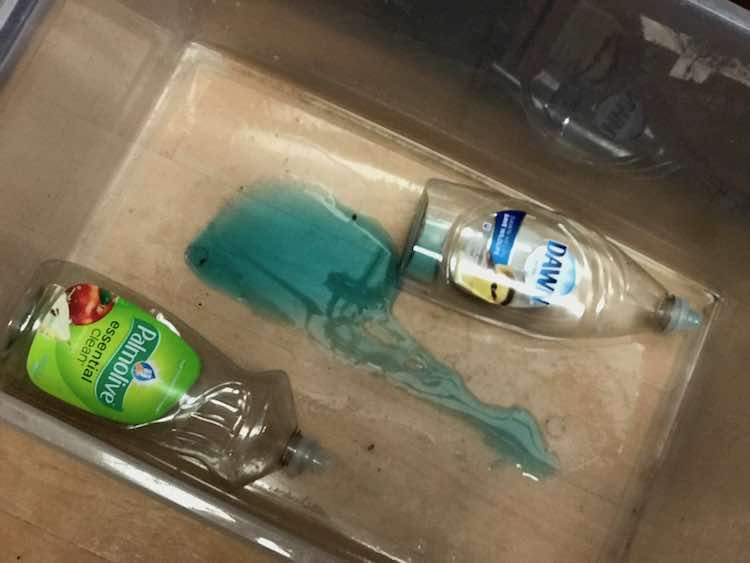 I had a couple empty dish soap bottles so I added them to the actual dish soap in the empty bin.