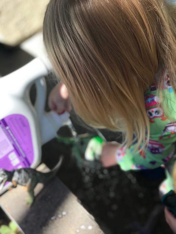 Though a water filled laundry detergent bottle is always fun to use to shower your dinosaurs.