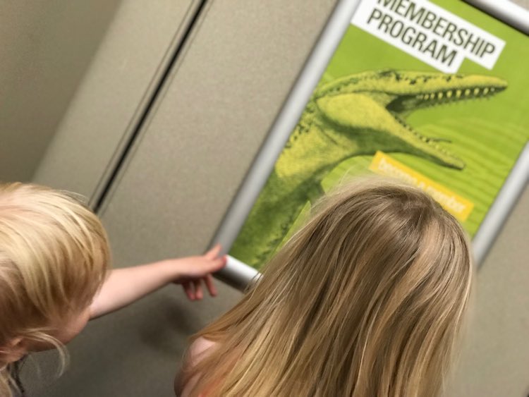 With toddlers even the bathroom can be exciting as there's a swimming dinosaur on the memmbership ad on the back of the door.