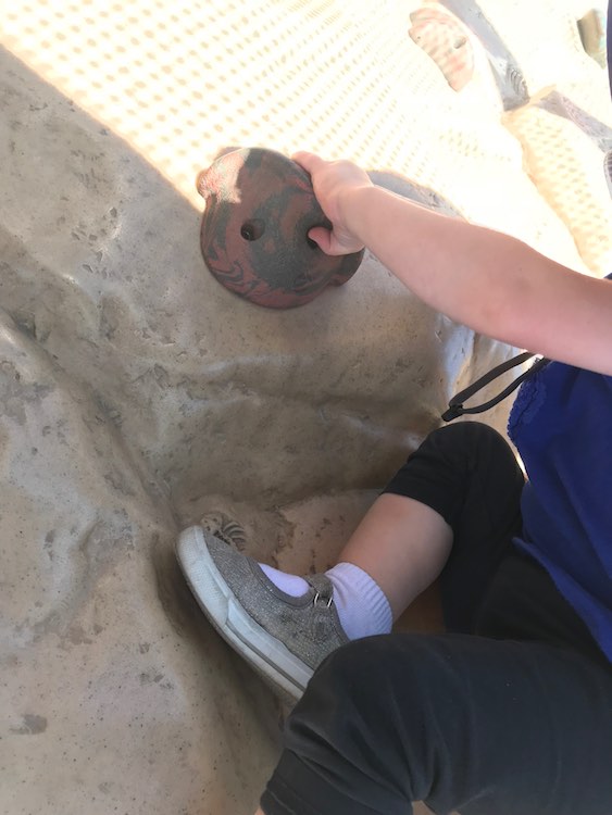 Loved the added trilobite on the inclined climbing wall by Zoey's foot.