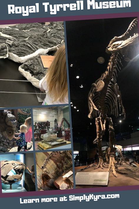The Royal Tyrrell Museum is a gem located in Drumheller, Alberta within the Canadian Badlands. Come visit my post to see a sampling of what you can see at the museum along with links.