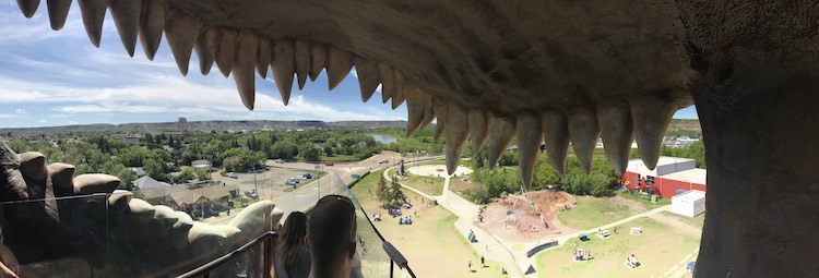 Panoramic view from the top of the stairs. There are then a couple stairs that lead down into the mouth of the dinosaur.