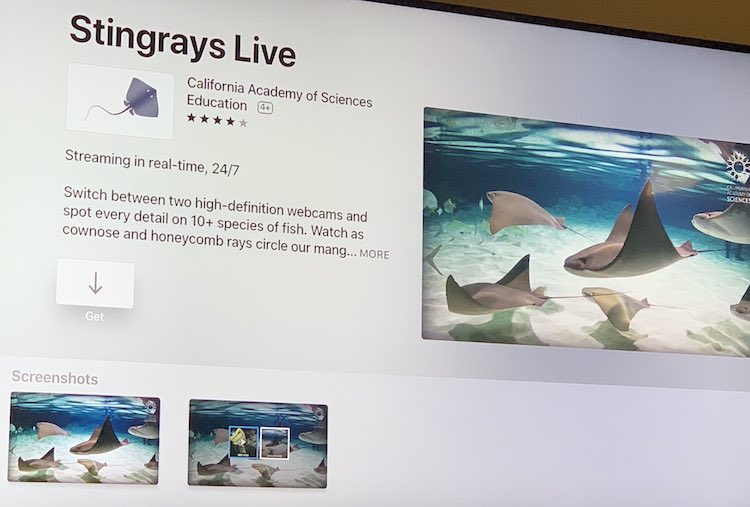 Listing for Stingrays Live on the app store of the Apple TV.