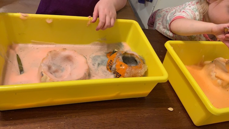 We then mixed yeast and warm water in the pumpkin and let it sit for a minute while we mixed up the food dye, dish soap, and hydrogen peroxide before adding it in.