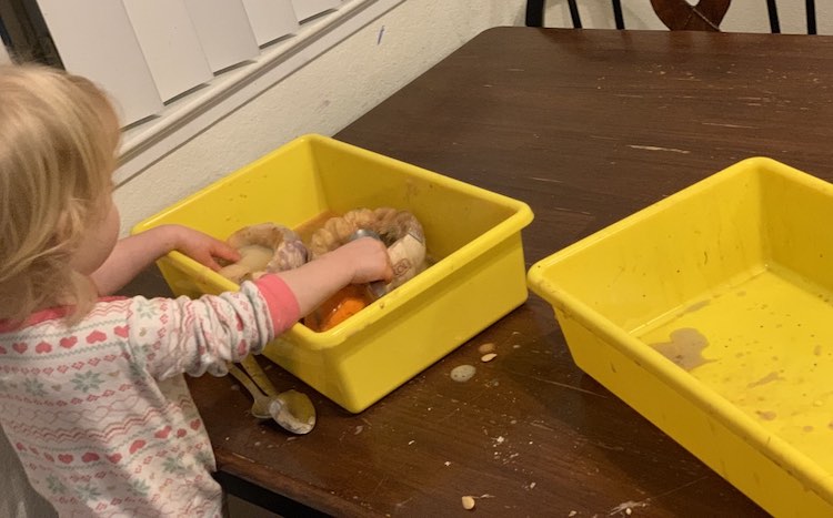 Surprisingly Ada was done the sensory activity first and had given Zoey her pumpkins and dumped the experiment remnants into Zoey's bin for her to play with.