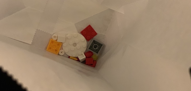 The LEGO bricks looked so small in some of the days' bags.