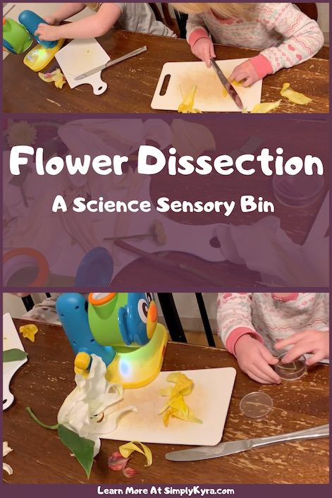 Do you have flowers hanging around that may wilt soon? Why not have some fun and have your kids dissect them. They can learn how flowers are formed, look up how they work, and have some sensory fun while they're at it!