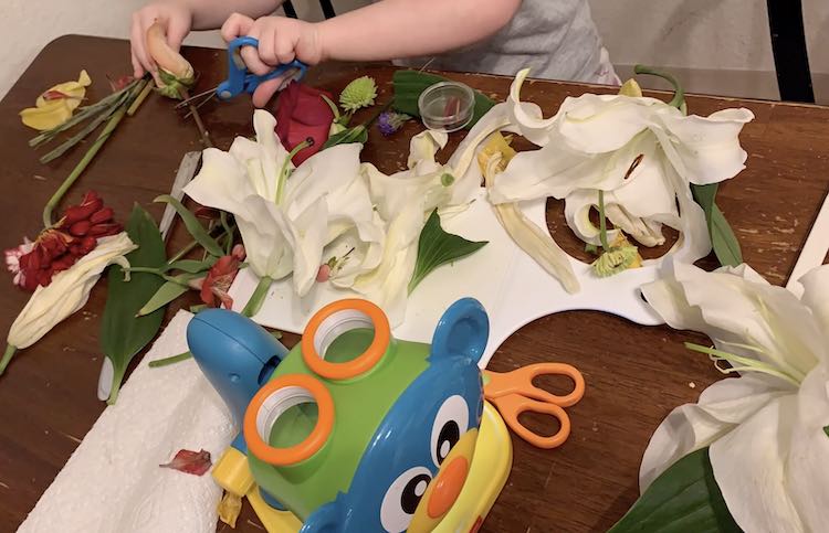 Ada loved trying to cut the flower stems.