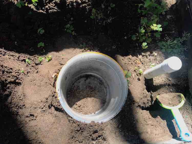 Filling in the dirt around the bucket to better support it.