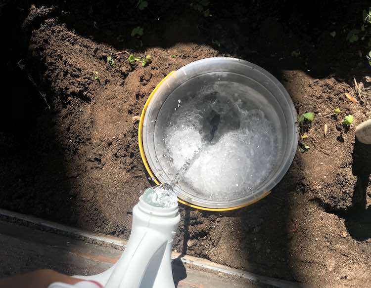 Filling the bath tub (bucket) with soapy water.