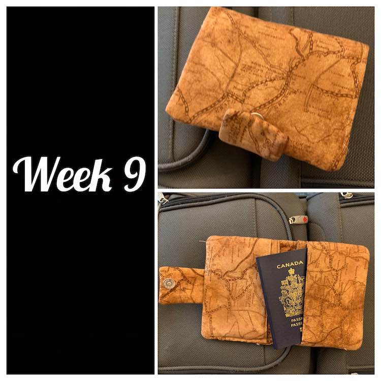 View of a two person passport wallet. Left side of image is black with white text saying week 9. Right side has two images. The top image is a closed passport wallet while the bottom image is an opened passport wallet with a passport sticking out showing where one of the pockets are. 