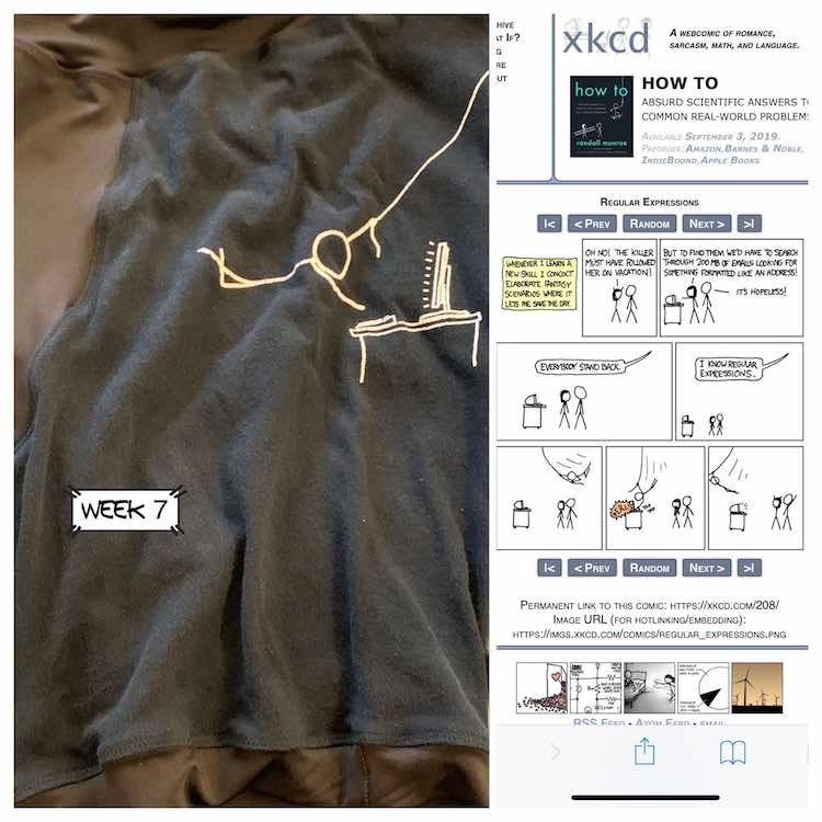 Vertically split image for week 7. Left side shows a closeup of the black boxers showing the image of a person swinging on a rope about to type on the computer. The right side of the image shows the cartoon in question (linked below the image) XKCD number 208.