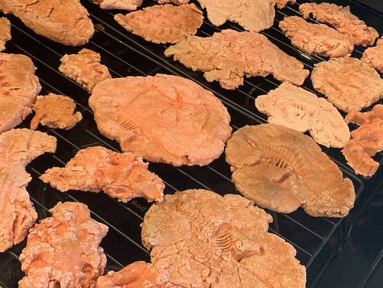 Pink and slightly browned dinosaur fossils cooling from the oven.