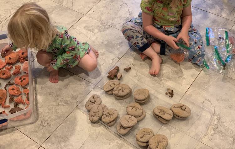 The grey imprinted rocks are at the foreground separated by species type. Ada is adding fossils to Ziploc bags to the right on the picture and Zoey's adding fossils to the bin to the left.