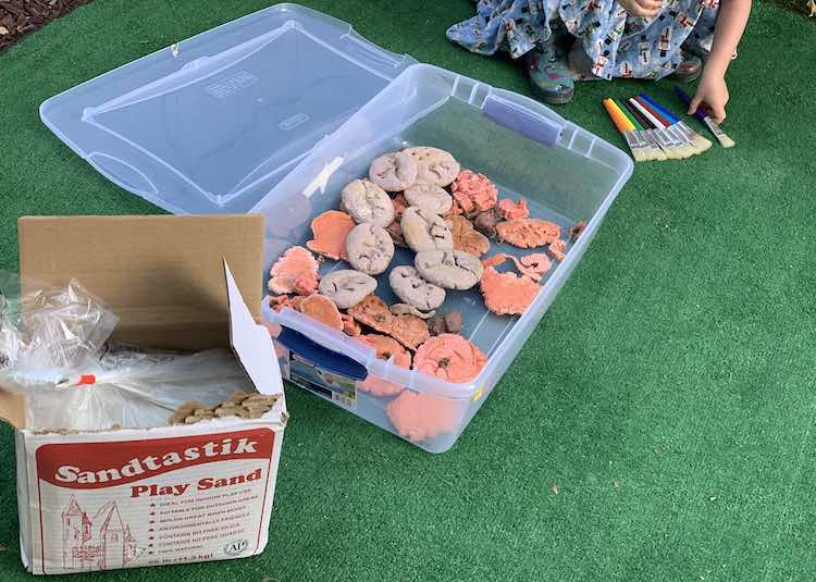 Ada laying out the paintbrushes in the background while the bin of fossils is opened waiting for the sand to be poured into the the bin. 