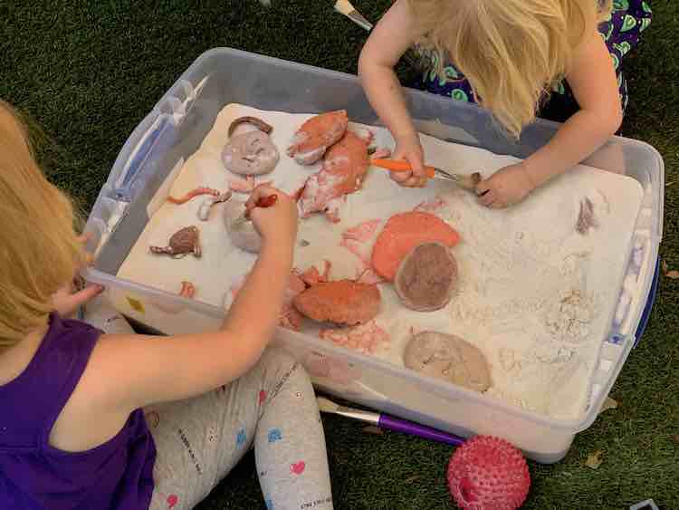 A bin of sand with salt dough fossils all throughout. Ada and Zoey are leaned over the sides using paintbrushes to excavate them.