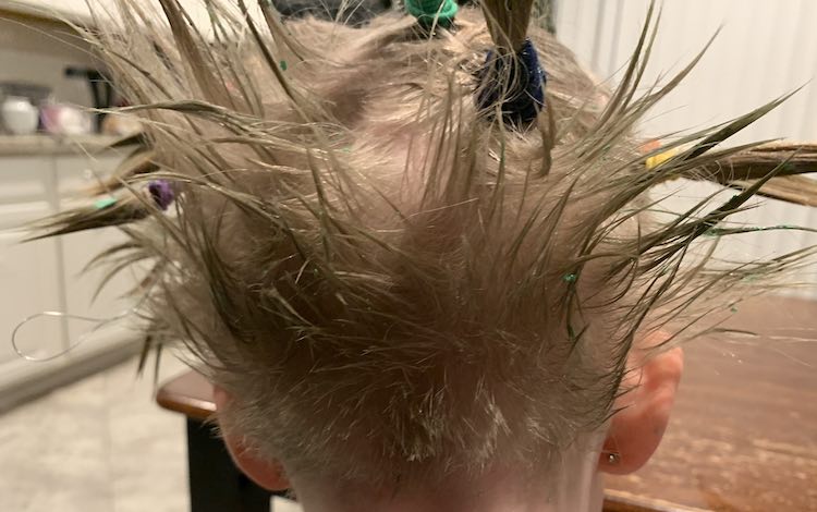 Back view of Ada's hair shows the smaller hairs at the nape of her neck pointed out and upward instead of the more normal drape down. There's the odd fleck of green on them too.