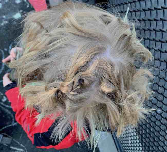 Top view of Ada's messy green tinged hair after removing all the ponytail ties and the dinosaur. Some of the French braid are still in place even after removing the dinosaur and sliding the floral wire out with it.
