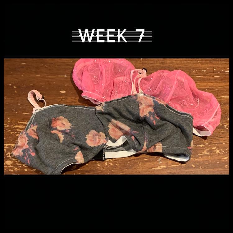 Image shows a single image surrounded by a black border. Above and below the image the black is taller. Above the image it says "week 7".  The image is of two bralettes. 