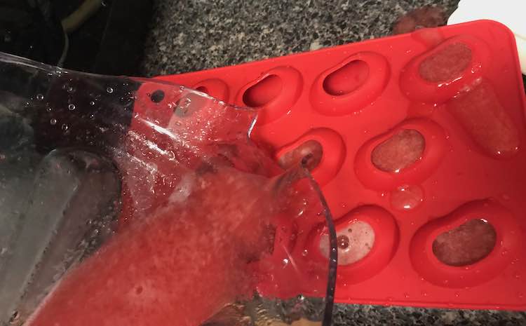 Pouring the applesauce and frozen fruit mixture from the blender into the jellybean shaped silicon moulds. 