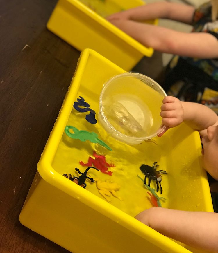Zoey with a bin full of waters and plastic insects, reptiles, and amphibians... yet she's interested in the water in her plastic container. In the background you can see Ada's playing in her own water-filled bin.
