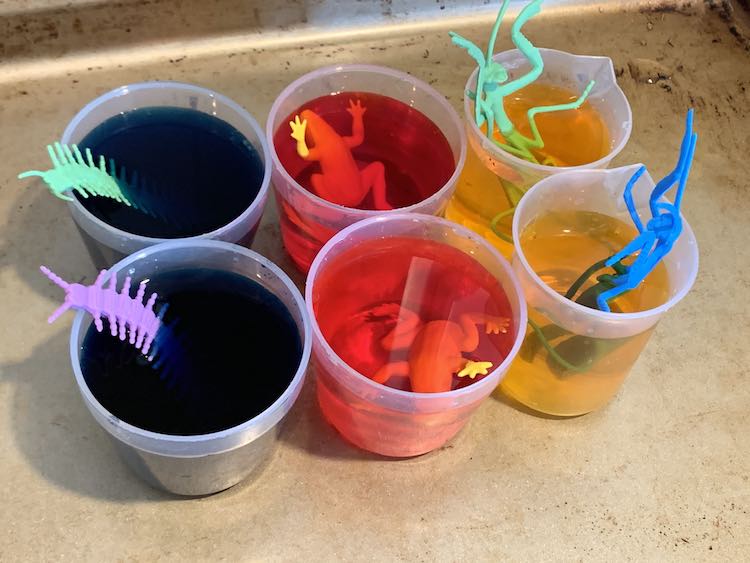 The photo is a closeup of the cookie sheet. On the sheet rests six plastic cups filled with blue dye, on the left, red dye, middle, and yellow dye, the two on the right. Inside each is a plastic animal: centipede, frog, and praying mantis. 
