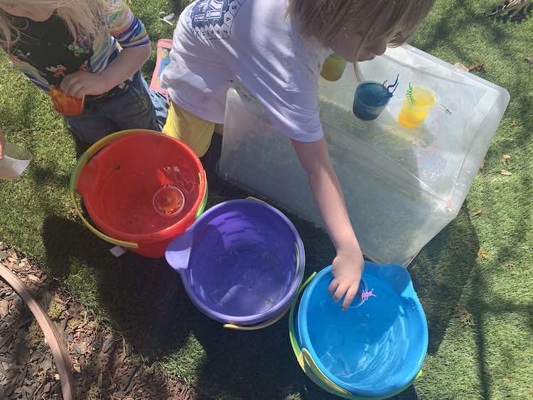 Overview of the three large sand pails filled with clear water. Zoey's standing beside one holding her rec cup while the other red cup floats in the red pail. Ada stands beside them hovering over the upside down bin with the frozen cups and placing one into the blue bin.