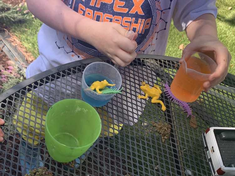 Closeup of Ada holding a plastic cup with orange water in it. Beside it, on the table underneath, lies a freed frog and centipede beside another frog and centipede in a cup of orange water. 