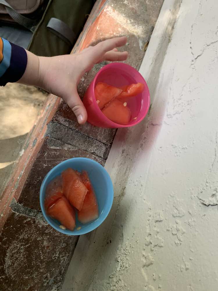 Overview of two plastic cups sitting on the brickwork outside filled with frozen watermelon and topped up with water. Ada's hand is about to grab the pink cup.