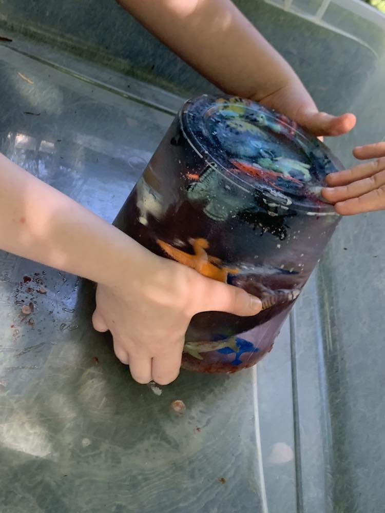 Ada trying to pick up the ice while Zoey touches it. You can see the bin around the cylinder ice. The animals float within the ice and the color shine through from the center. 