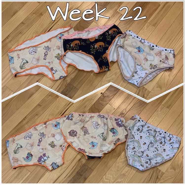 Image shows two photos separated by a white zigzag. Overlaid at the top is white text saying "week 22" The top image shows the front of three pairs of underwear while the bottom image shows the back of them.