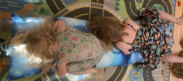 View from above of the pillow with Zoey laying on it, in child's position, and Ada, below her, laying on the end.