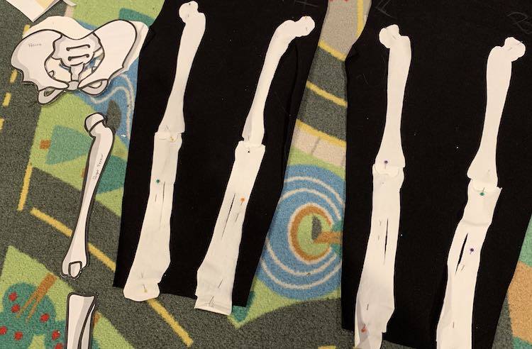 Image shows both pant legs with the upper and lower leg bones pinned on. To the left is the unused pelvic bone and the paper patterns for the leg bones. 