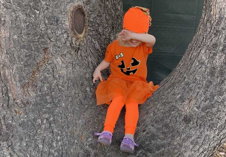 View of a tree with Zoey sitting in the dip between two parts. Her arm is lifted hiding her eyes. 